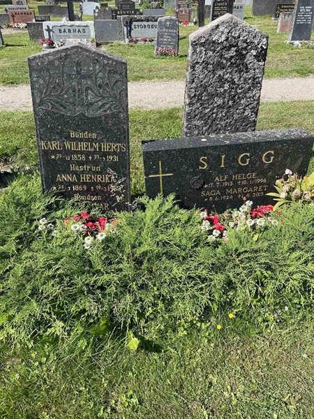 Gravnummer: N 5 1   130