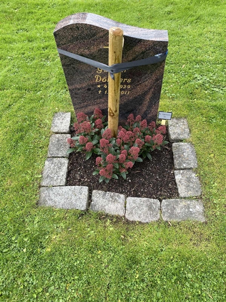 Hautatunnus: 2 C    79