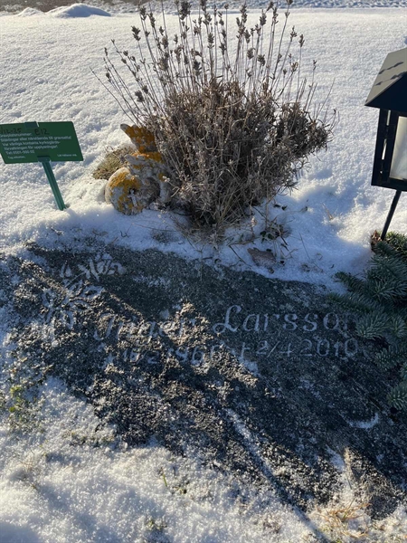 Gravnummer: SJ E    12