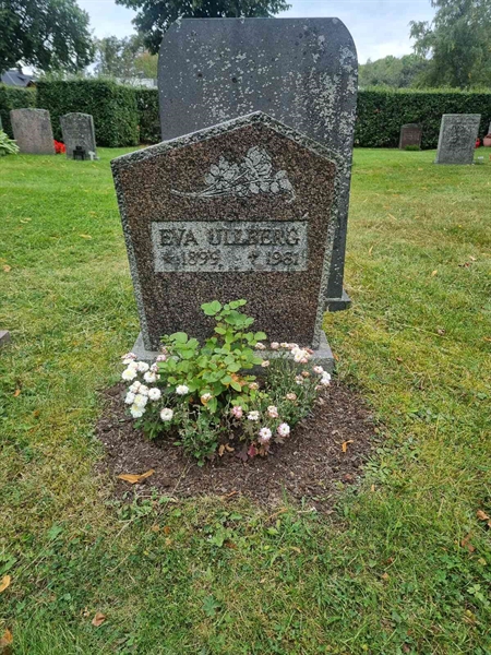 Grave number: 1 13  159