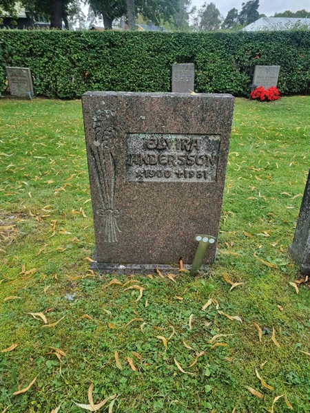 Hautatunnus: 1 13   95