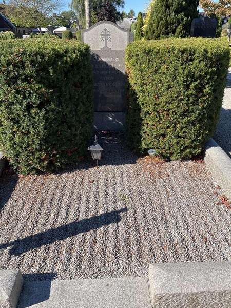 Grave number: VK III   149