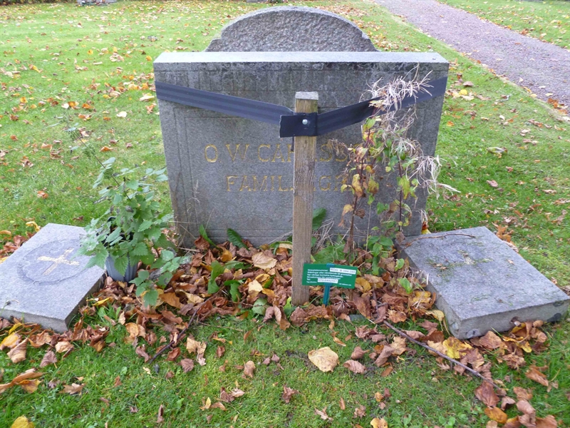 Grave number: ROG B  384, 385