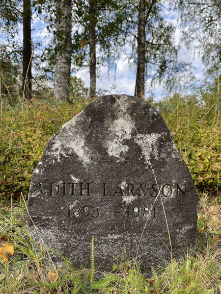 Grave number: 1 19    261