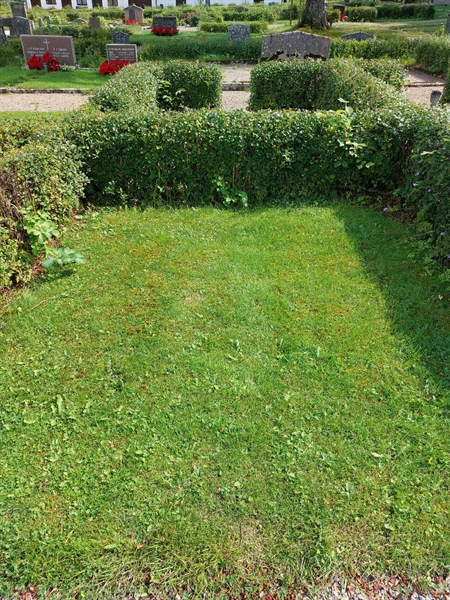 Gravnummer: 1 B   238
