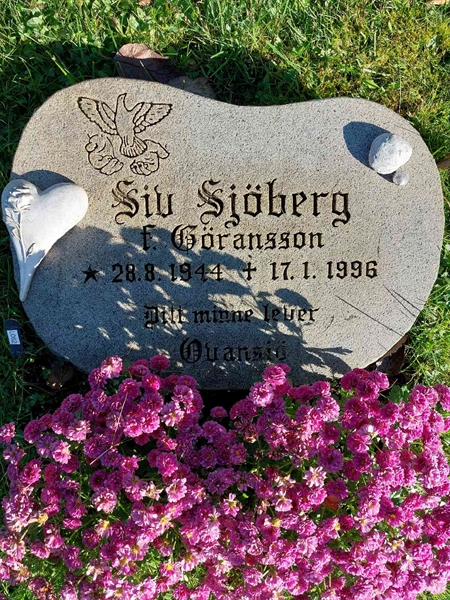 Hautatunnus: 1 L   062