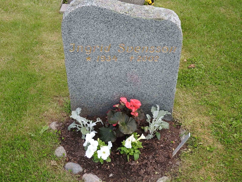 Gravnummer: BK T   157