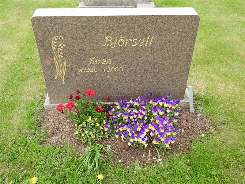 Gravnummer: BK T   141-142