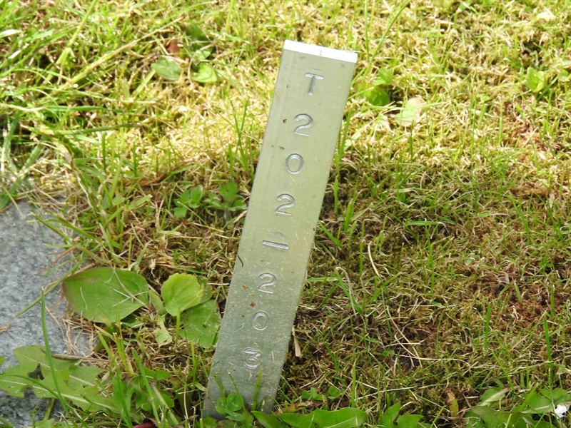 Gravnummer: BK T   202-203