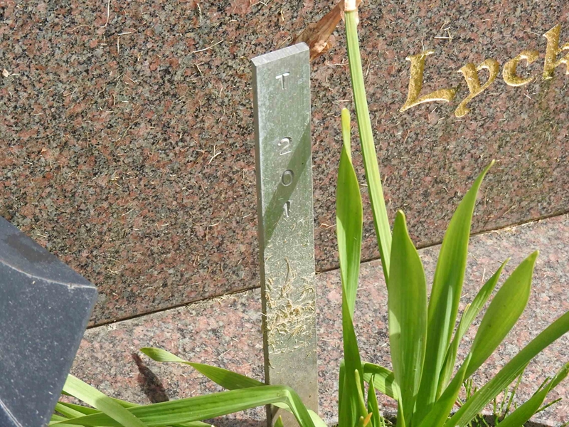 Gravnummer: BK T   201