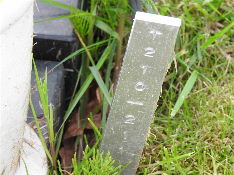 Gravnummer: BK T   210-211