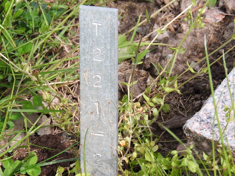 Gravnummer: BK T   221-222