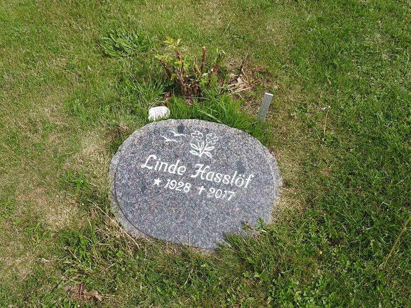 Gravnummer: BK T   223