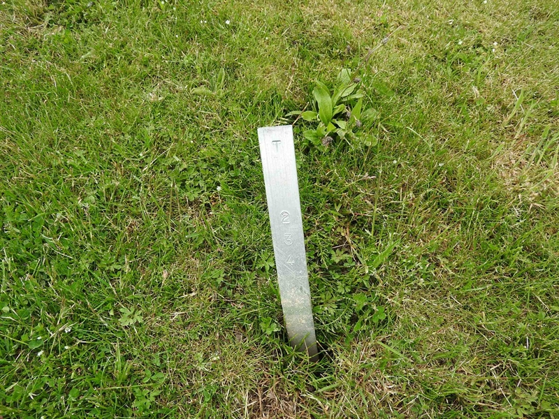 Gravnummer: BK T   234