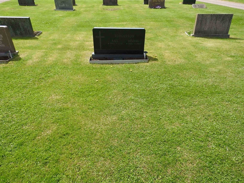 Gravnummer: BK T    55-56