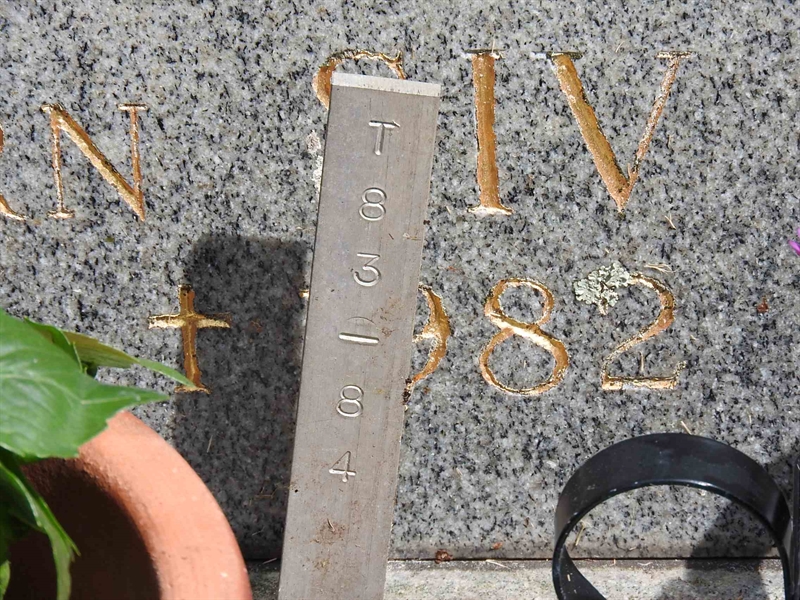 Gravnummer: BK T    83-84