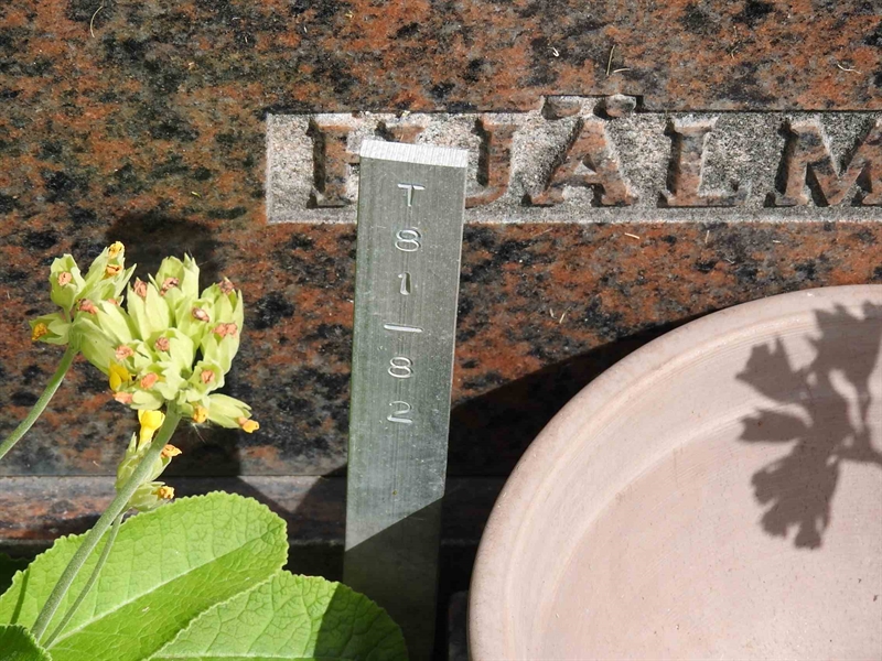 Gravnummer: BK T    81-82