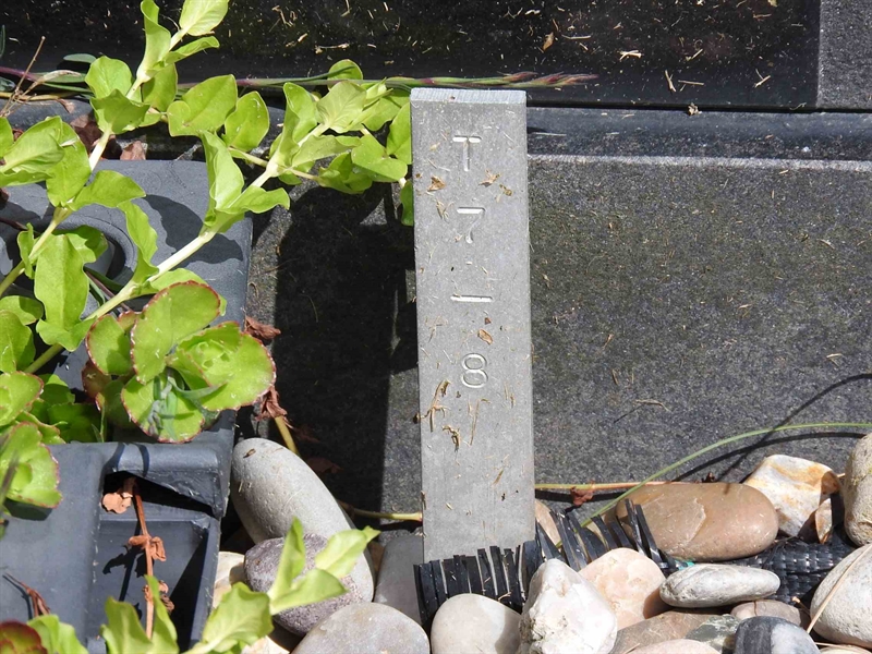 Gravnummer: BK T     7-8