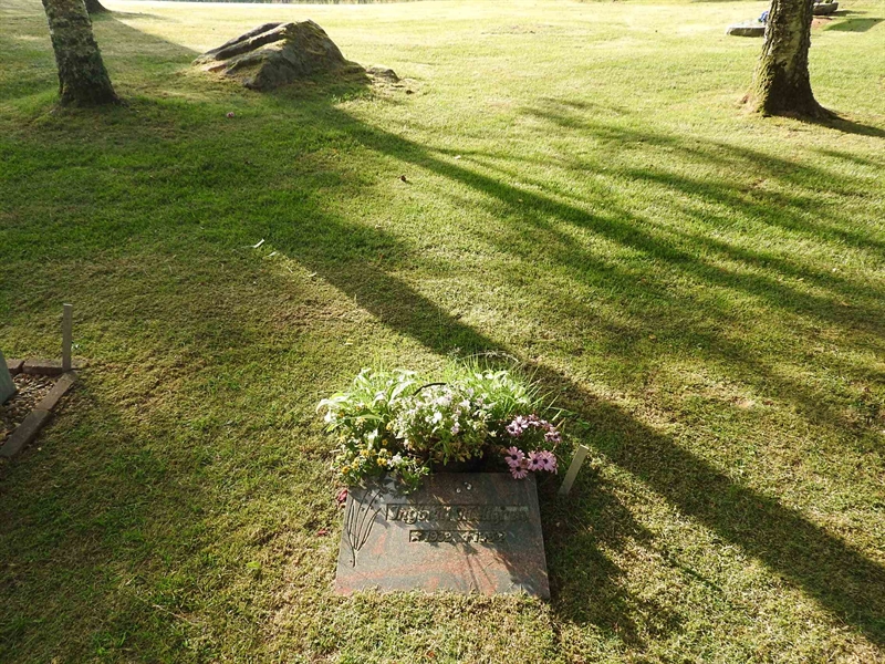 Hautatunnus: BK UA   100