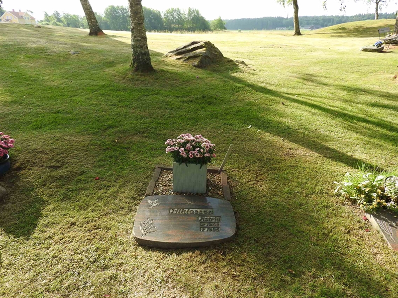 Hautatunnus: BK UA   101