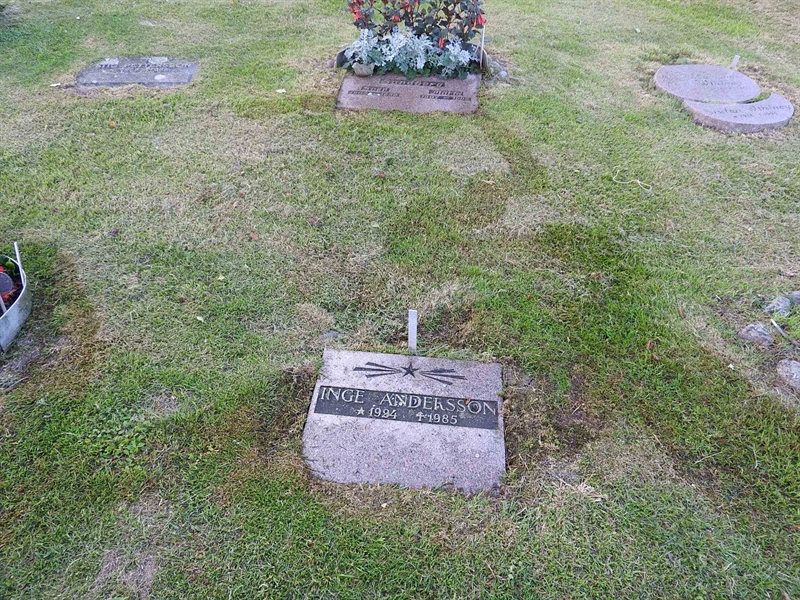 Gravnummer: BK UA    17