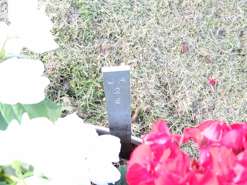 Hautatunnus: BK UA    25