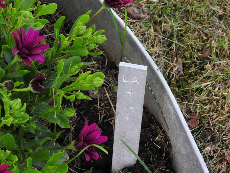 Gravnummer: BK UA     4