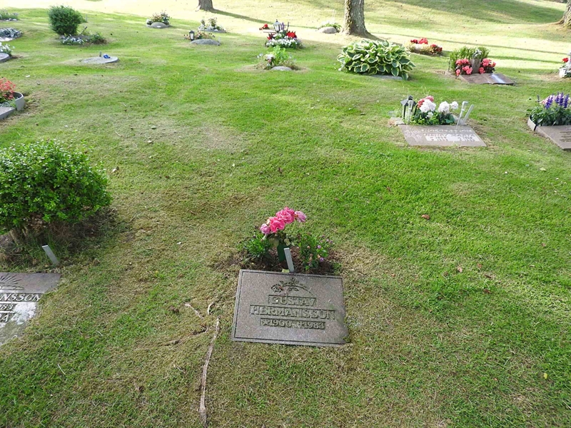 Hautatunnus: BK UA    55