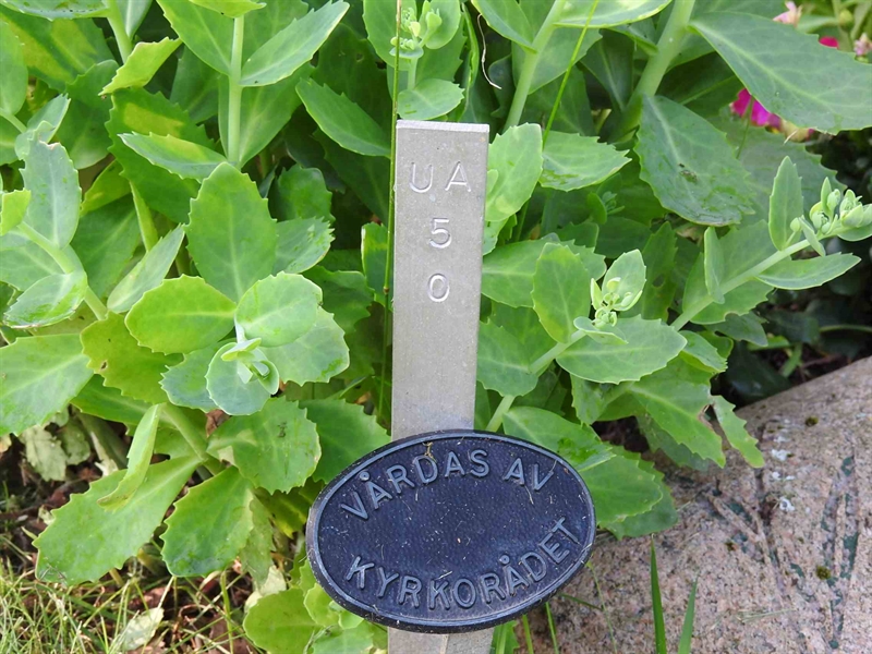 Hautatunnus: BK UA    50