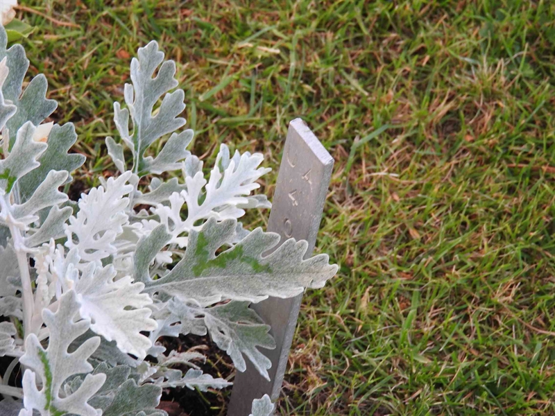 Gravnummer: BK UA    40