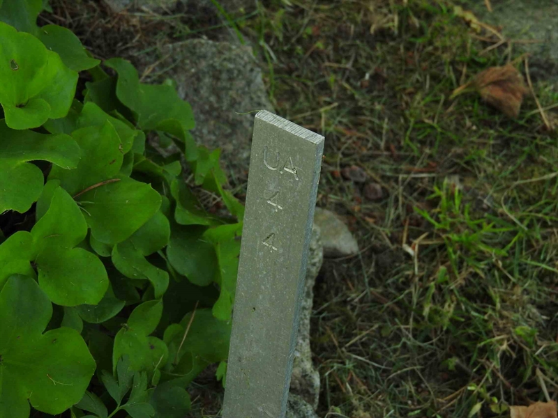 Hautatunnus: BK UA    44