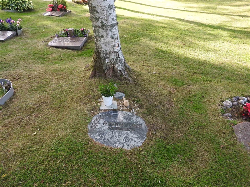 Hautatunnus: BK UA    52