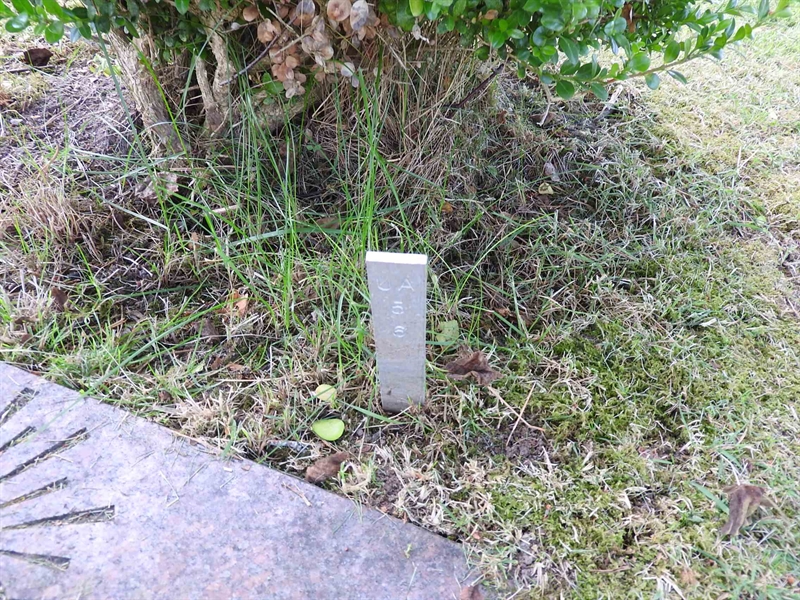 Hautatunnus: BK UA    56