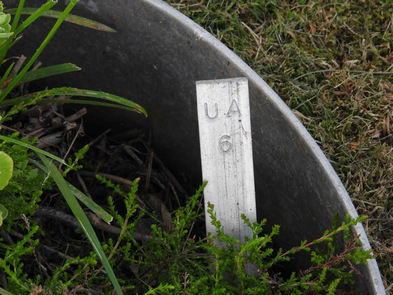 Hautatunnus: BK UA     6