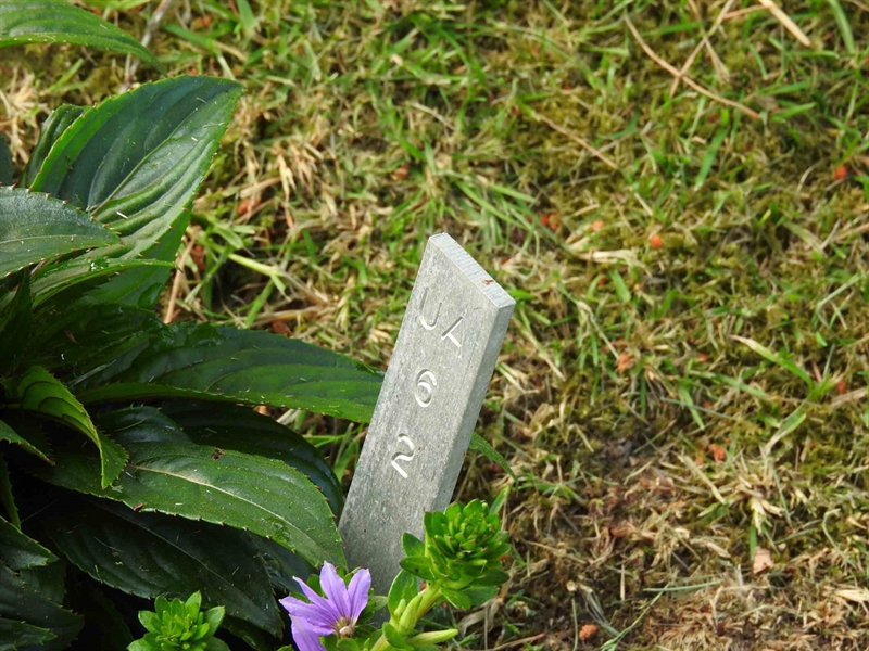 Hautatunnus: BK UA    62