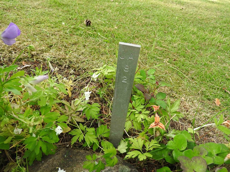 Hautatunnus: BK UA    82