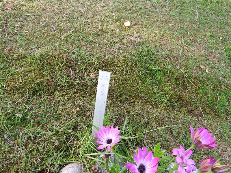 Gravnummer: BK UA    85