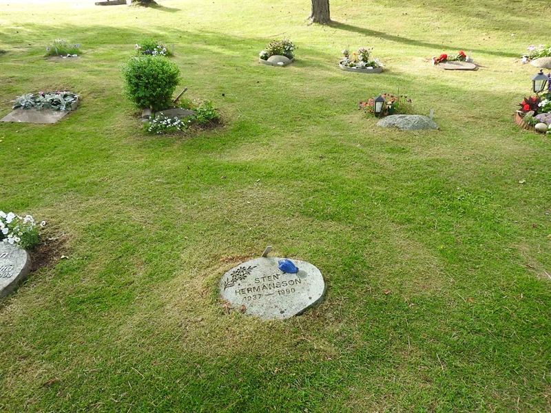 Hautatunnus: BK UA    73