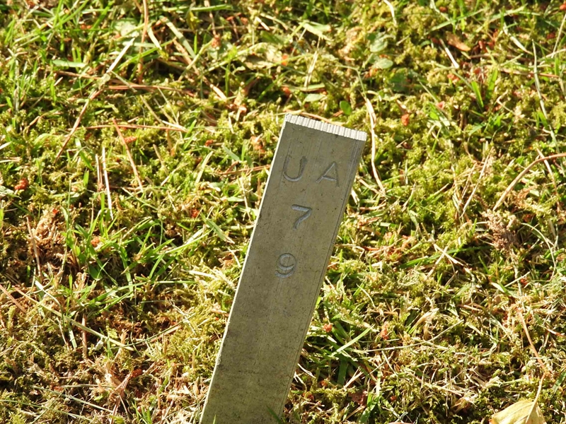 Hautatunnus: BK UA    79