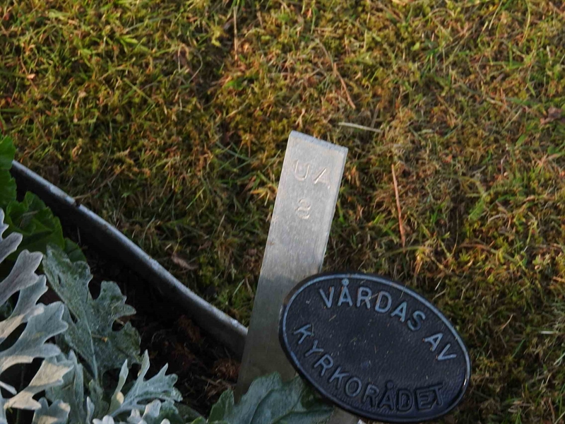 Hautatunnus: BK UA     8