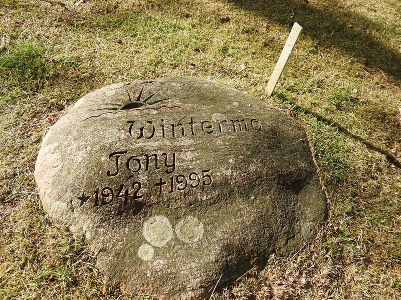 Hautatunnus: BK UA    87