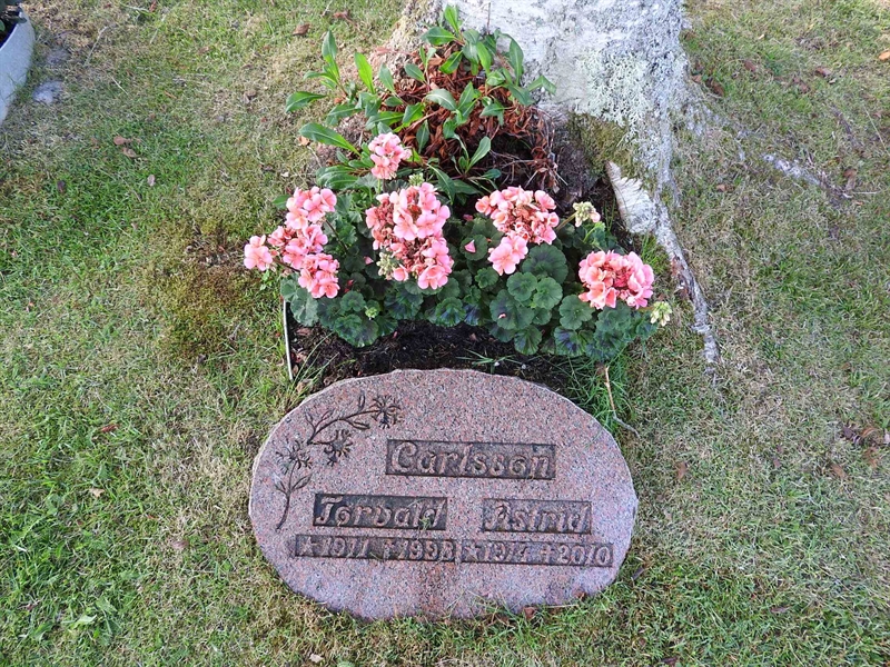 Hautatunnus: BK UA     9