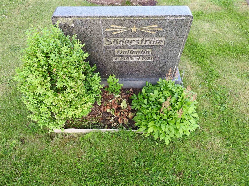 Gravnummer: BK V    10