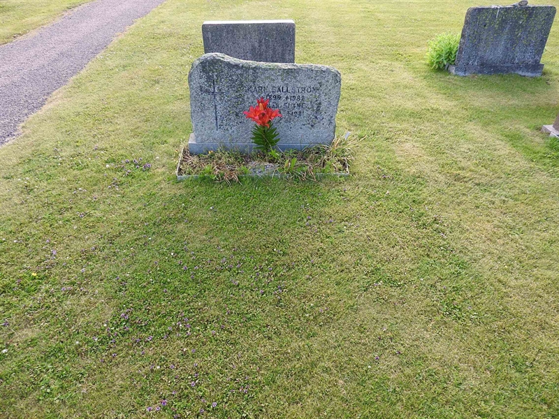 Gravnummer: BK V    11-12