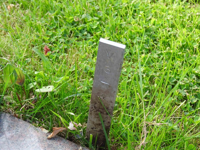 Gravnummer: BK V     3-4