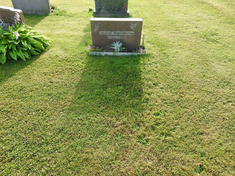 Gravnummer: BK V    35