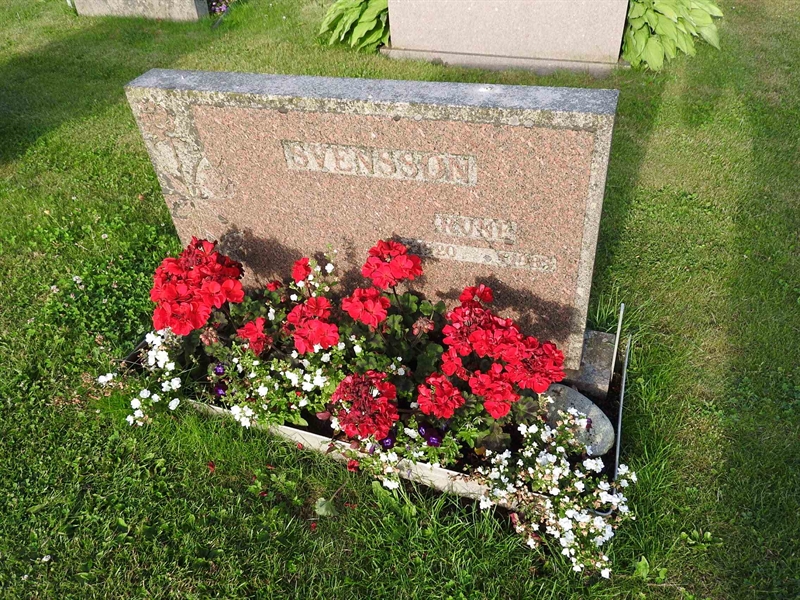 Gravnummer: BK V    38-39