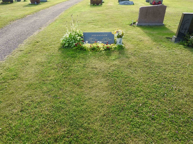 Gravnummer: BK V    41-42