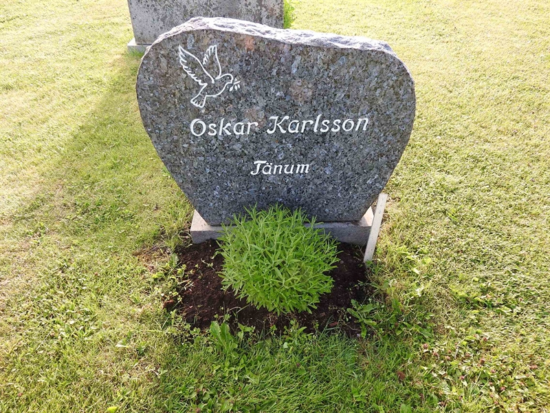 Gravnummer: BK V    45