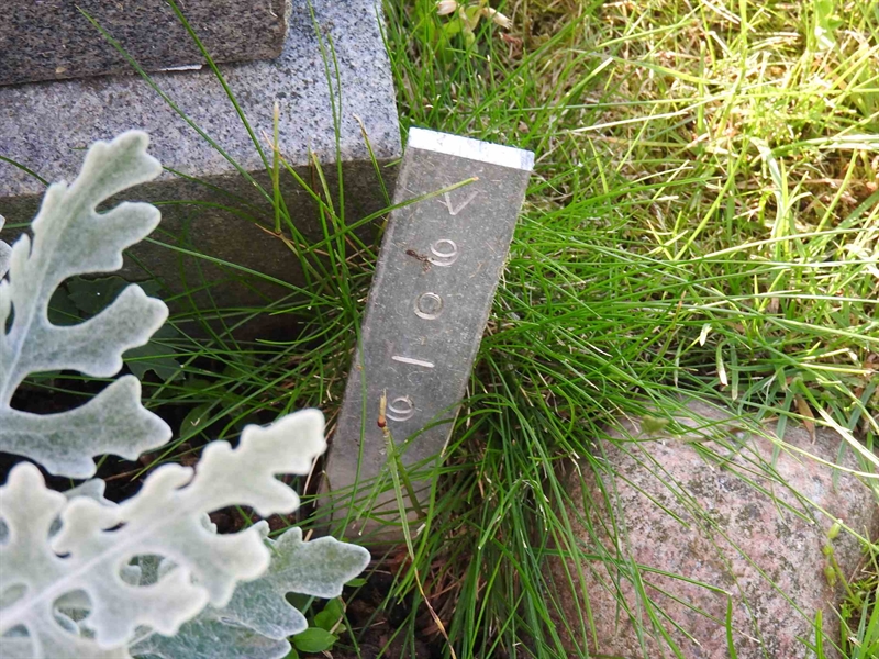 Gravnummer: BK V    90-91